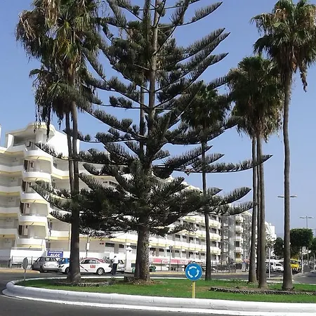 Daire Apartamento Aloe A *