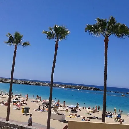 Apartamento Aloe A * Playa del Ingles (Gran Canaria)